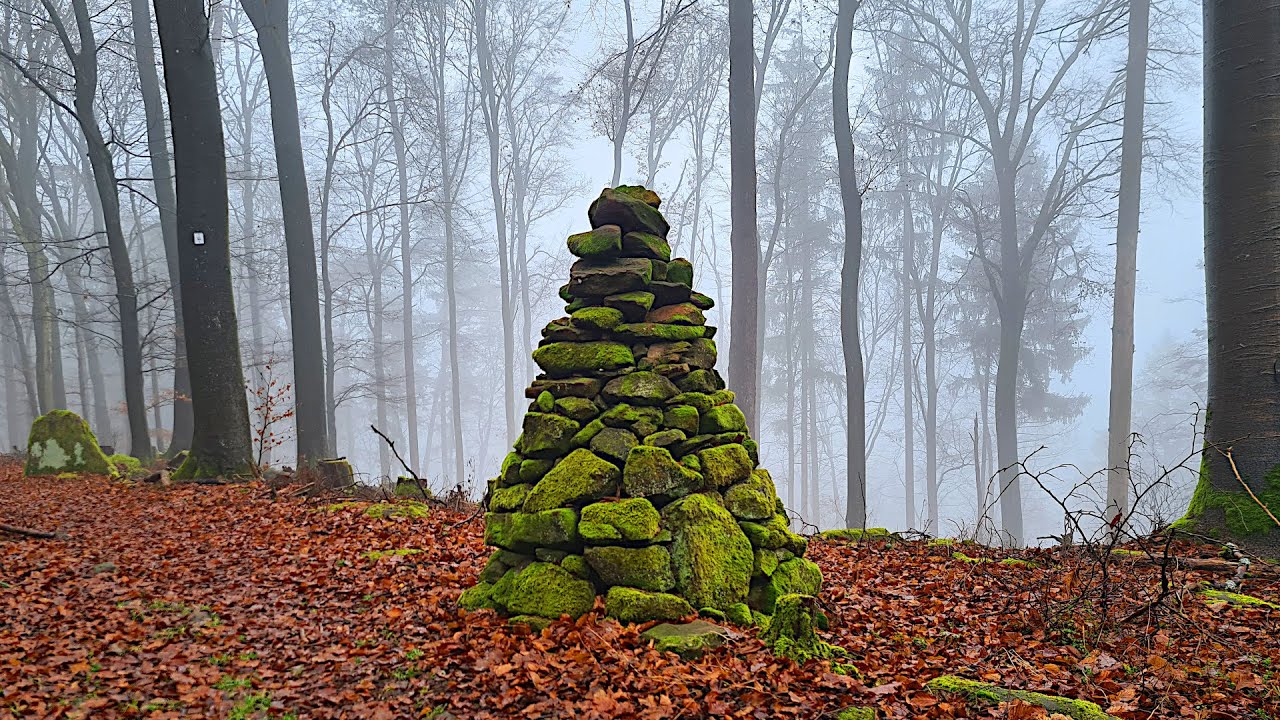 ⛰️ Sandstone & Forest Trails | Hiking Around Oberschlettenbach