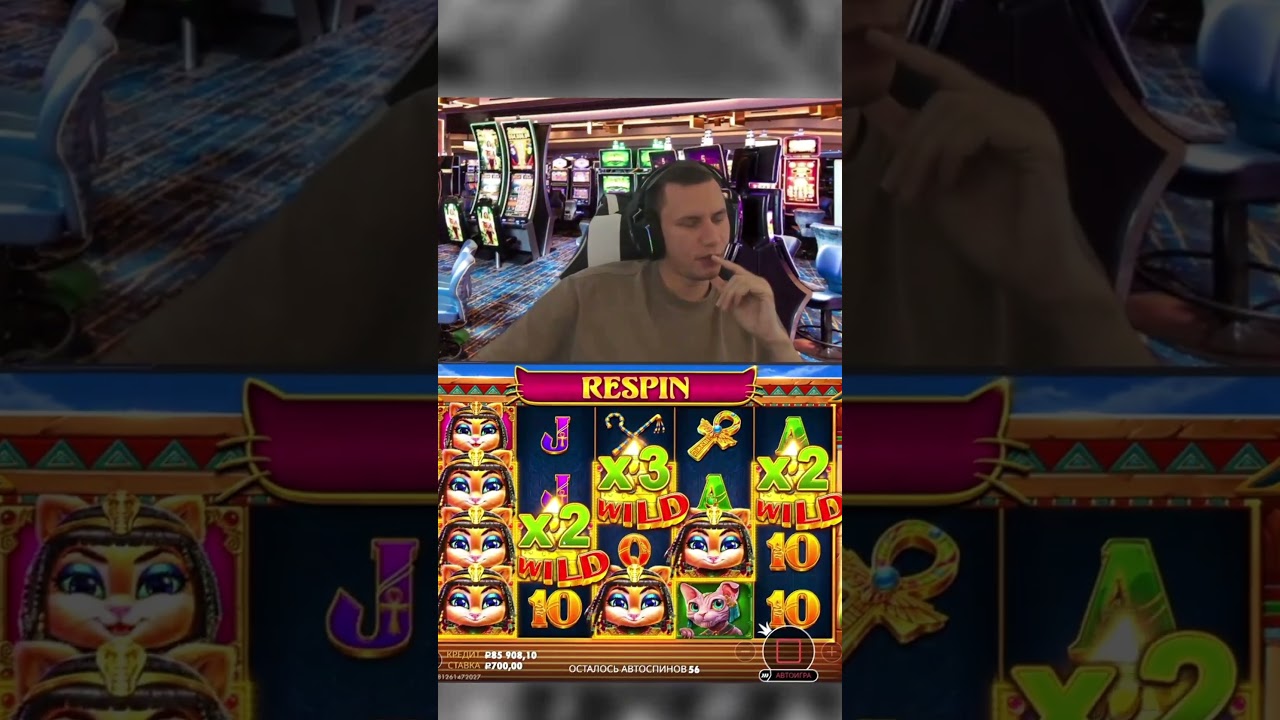 Котики шикарно играют в спине! #gaming #slots #jackpot #mega #win
