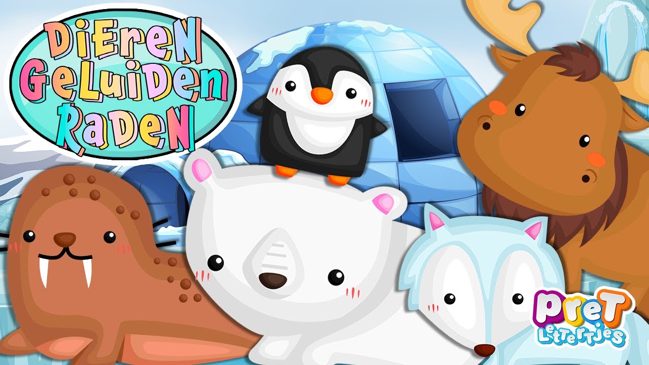 Dierengeluiden raden | Kun jij alle pooldieren herkennen?