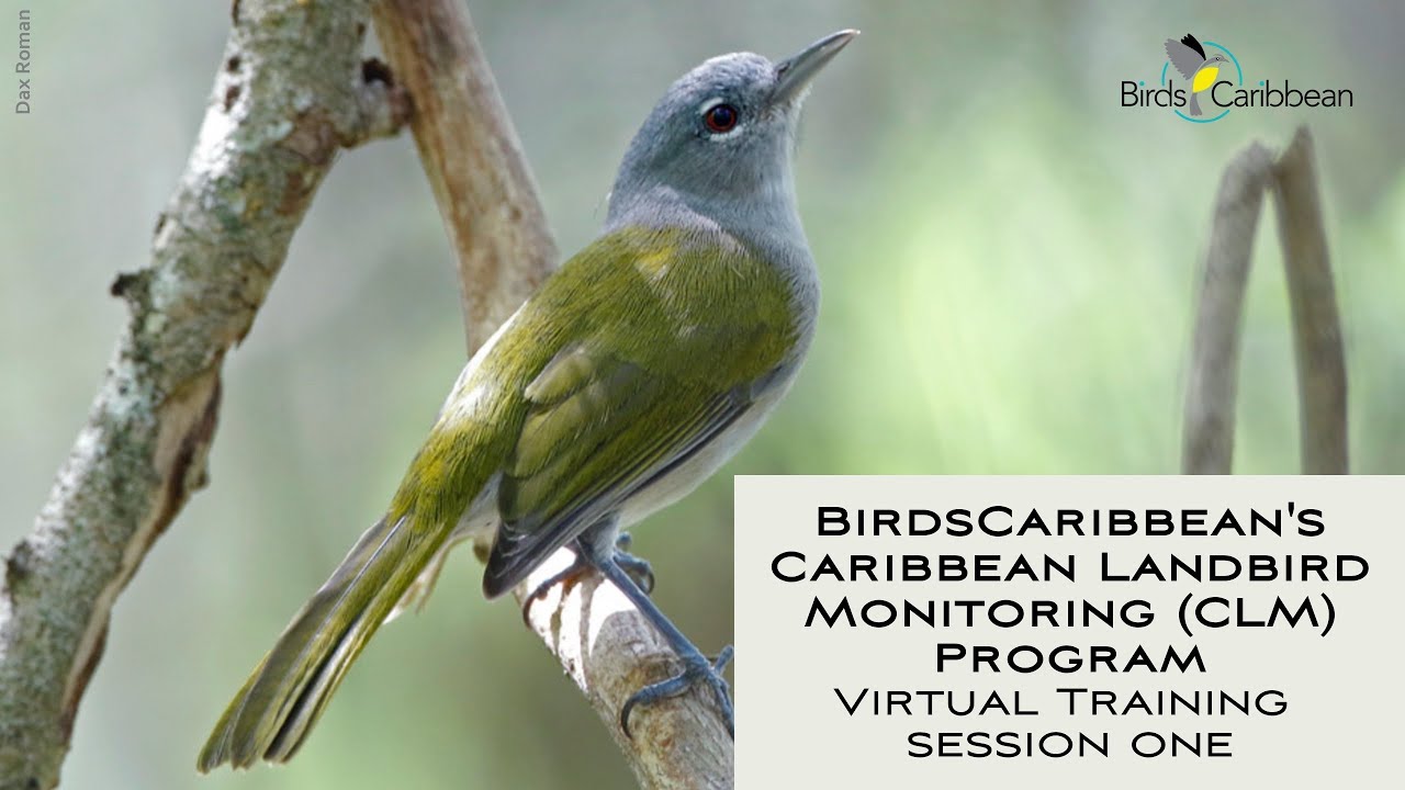 Landbird Monitoring Training Session one
