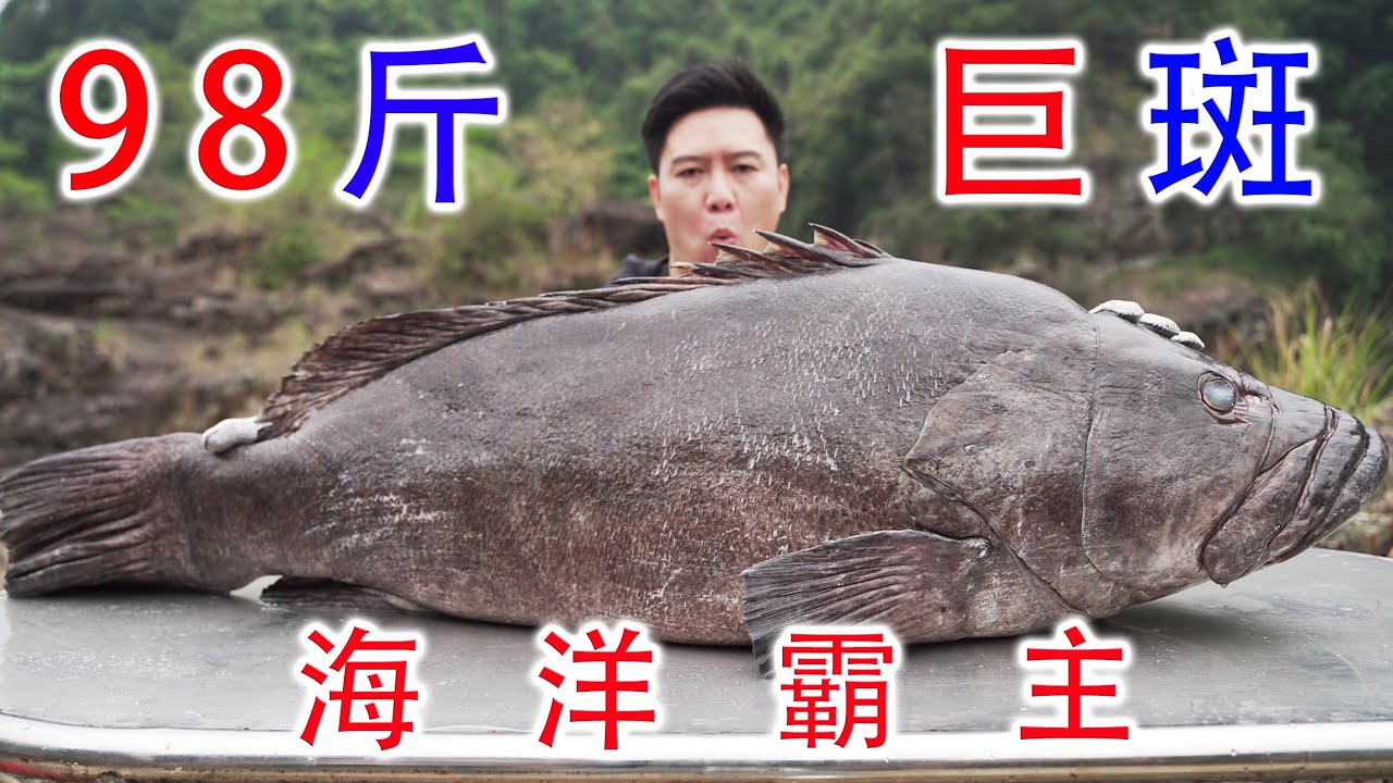 98斤的巨大龙趸，小文哥山林间处理引得全村人观看，出锅后爆香【小文哥吃吃吃】