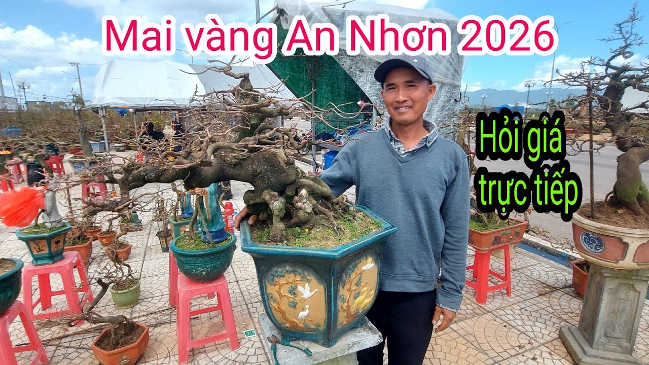 Mai vàng An Nhơn, Những tác phẩm đẹp, Giao lưu Lh:0925793344