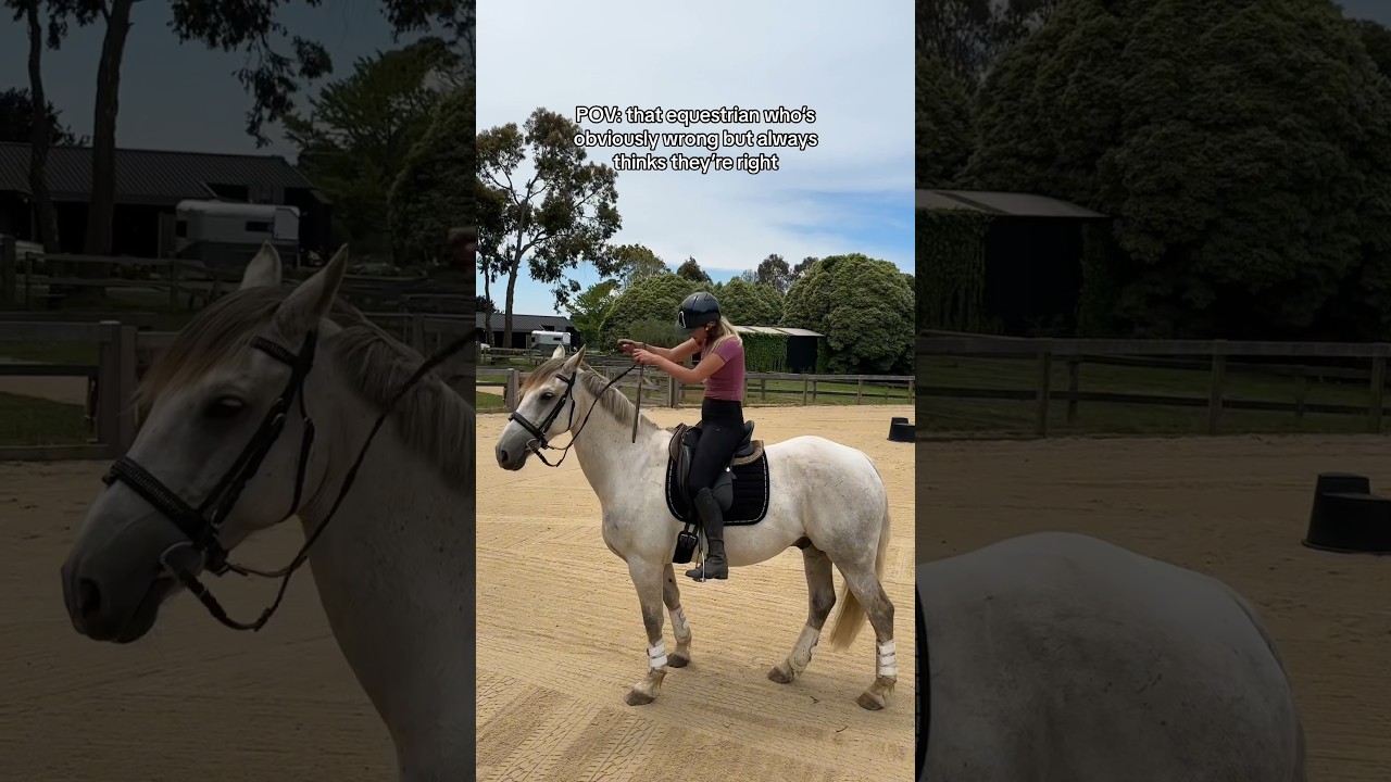 POV: that equestrian who&rsquo;s obviously wrong but always thinks they&rsquo;re right #horse #horsesaremylife
