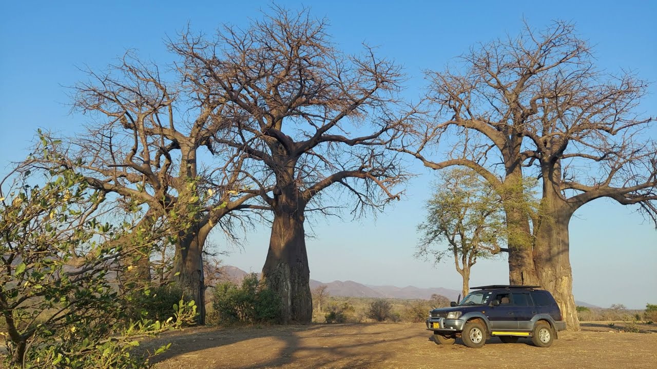 Scenic Slideshow of Chitake Springs - Mana Pools National Park:  The Unseen Beauty
