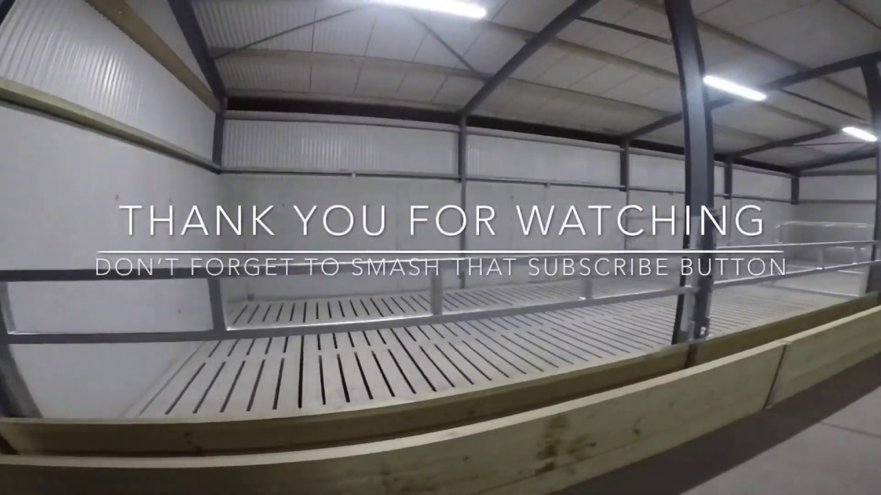 NEW CATTLE SHED PART 10 NEARLY FINISHED
