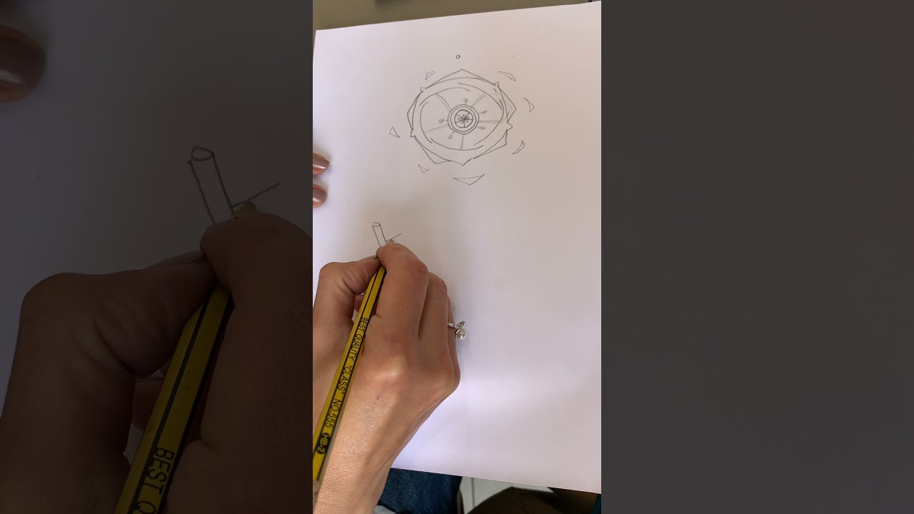 Malvaceae Floral diagram and L.S