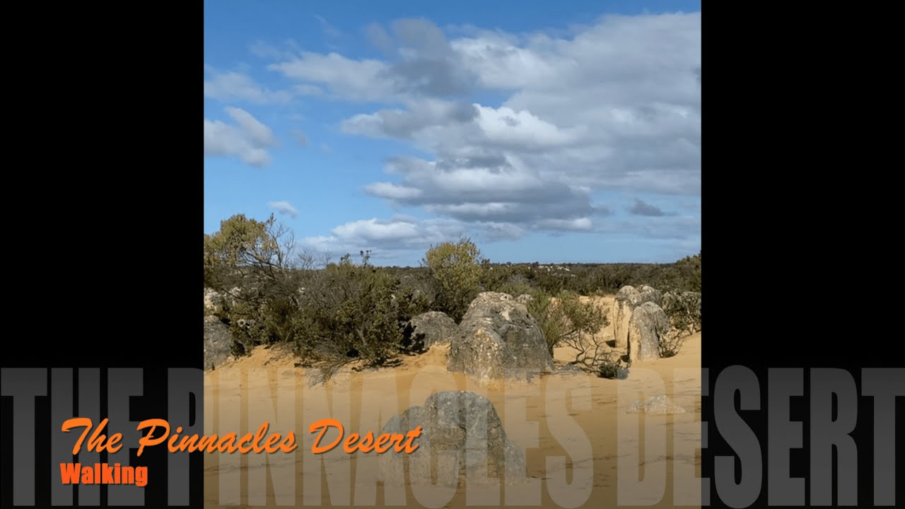 Walking _The Pinnacles Desert in Australia_#1