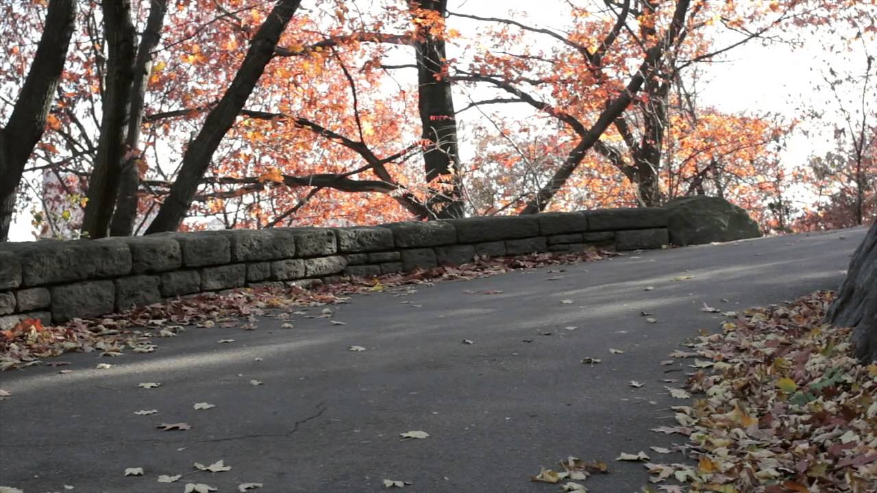 Wheelbase Review: Abec 11 