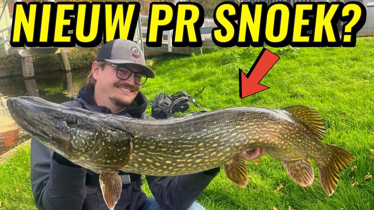 VANG IK EEN NIEUWE PR SNOEK? - 4 soorten roofvis vangen met @HomemadeSoftbaits