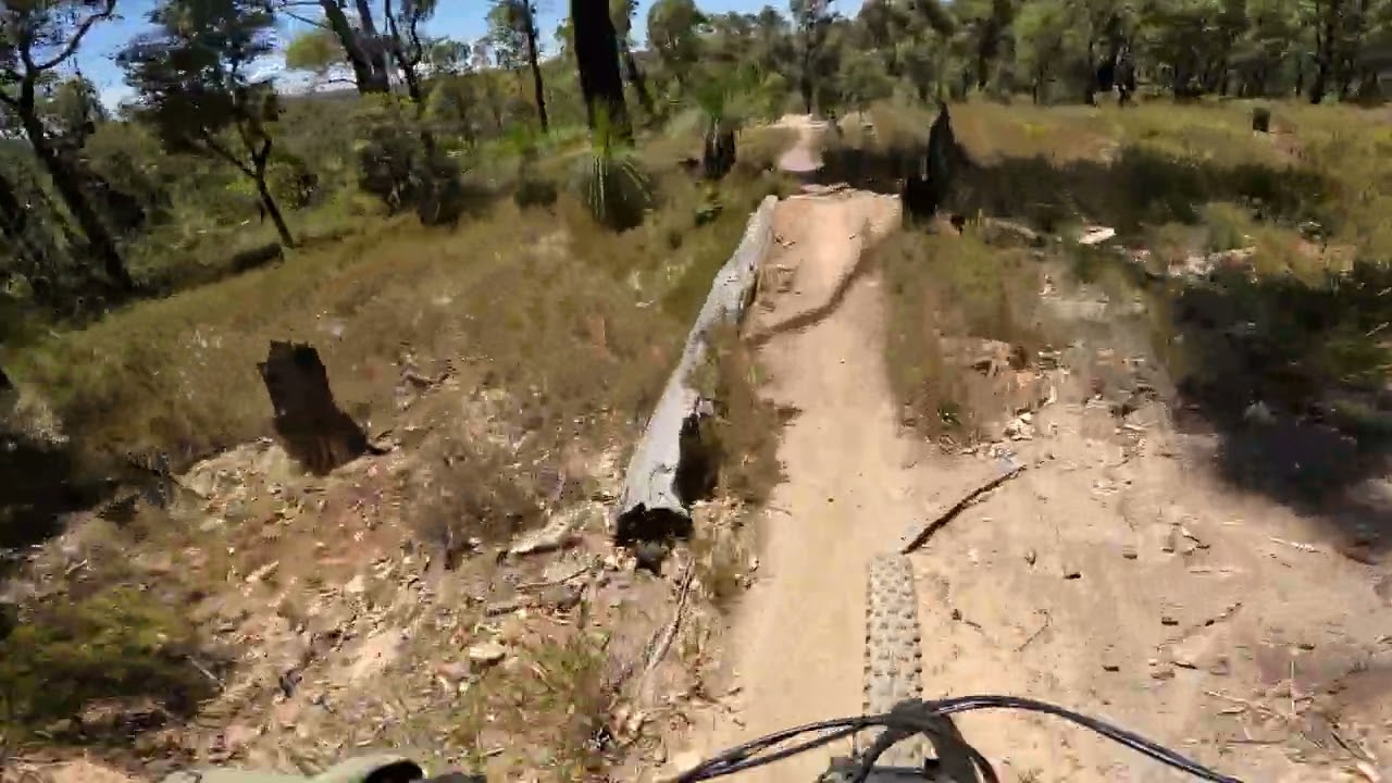 Nut Buzzer Trail Ronald POV