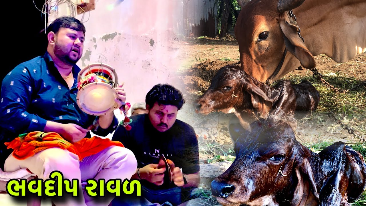 ભવદીપ રાવળ | bhavdip raval