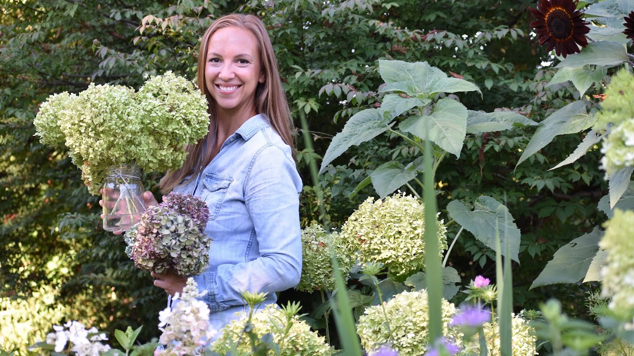 How to Dry Hydrangeas // Northlawn Flower Farms