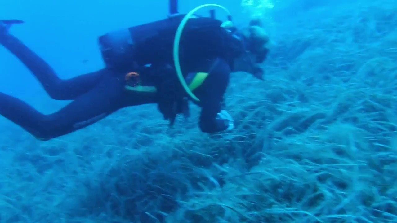 Scherzetto sott'acqua | tra subacquei