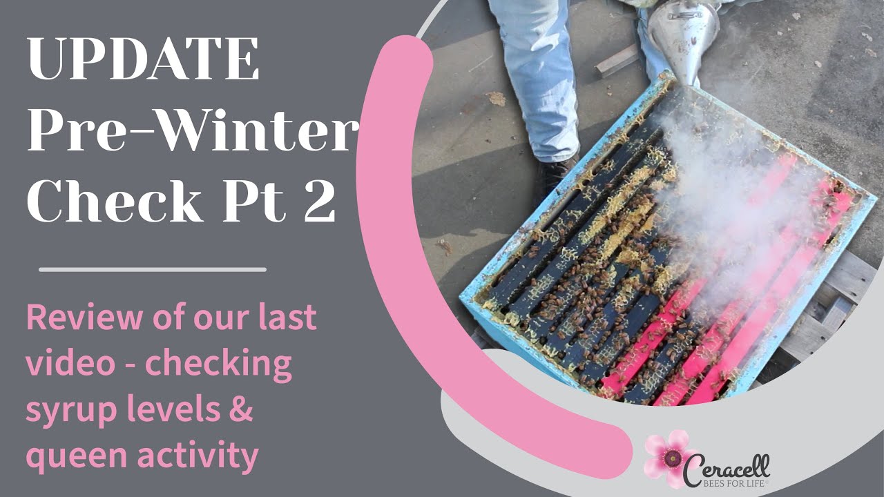 Pre Winter Check Update Part 2