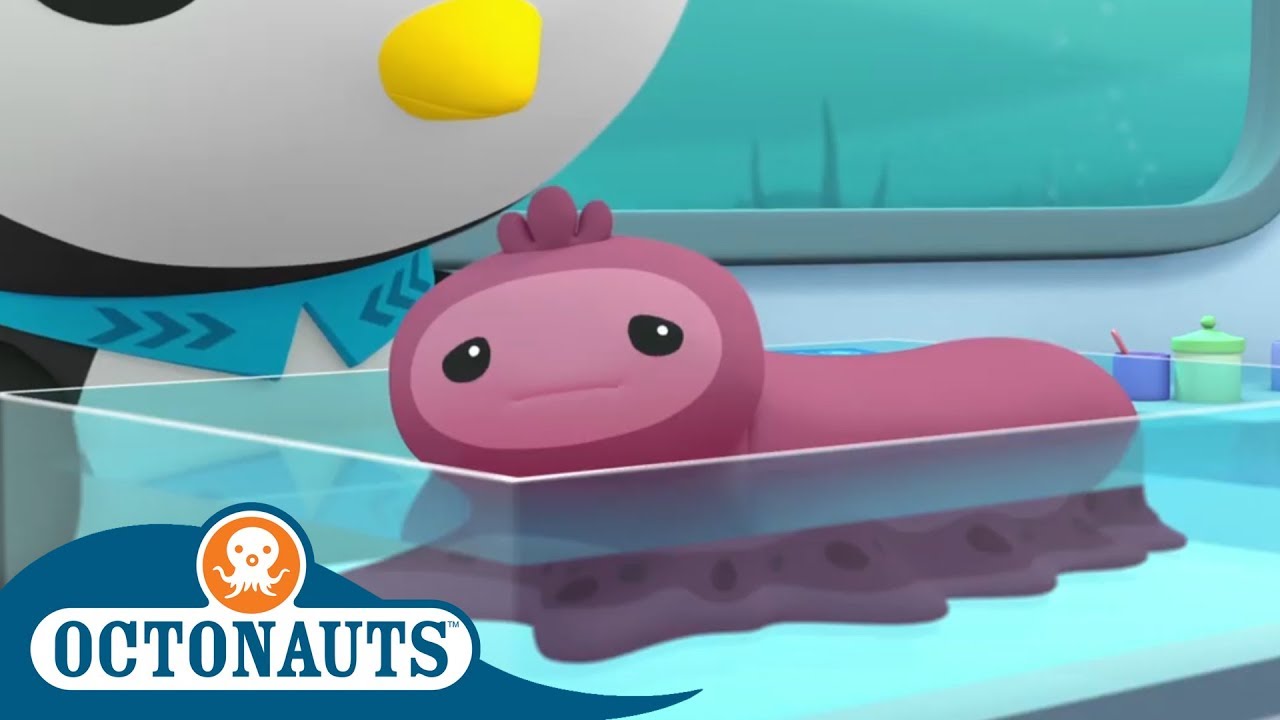 Octonauts - Icky and Sticky | Triple Special | Cartoons for Kids