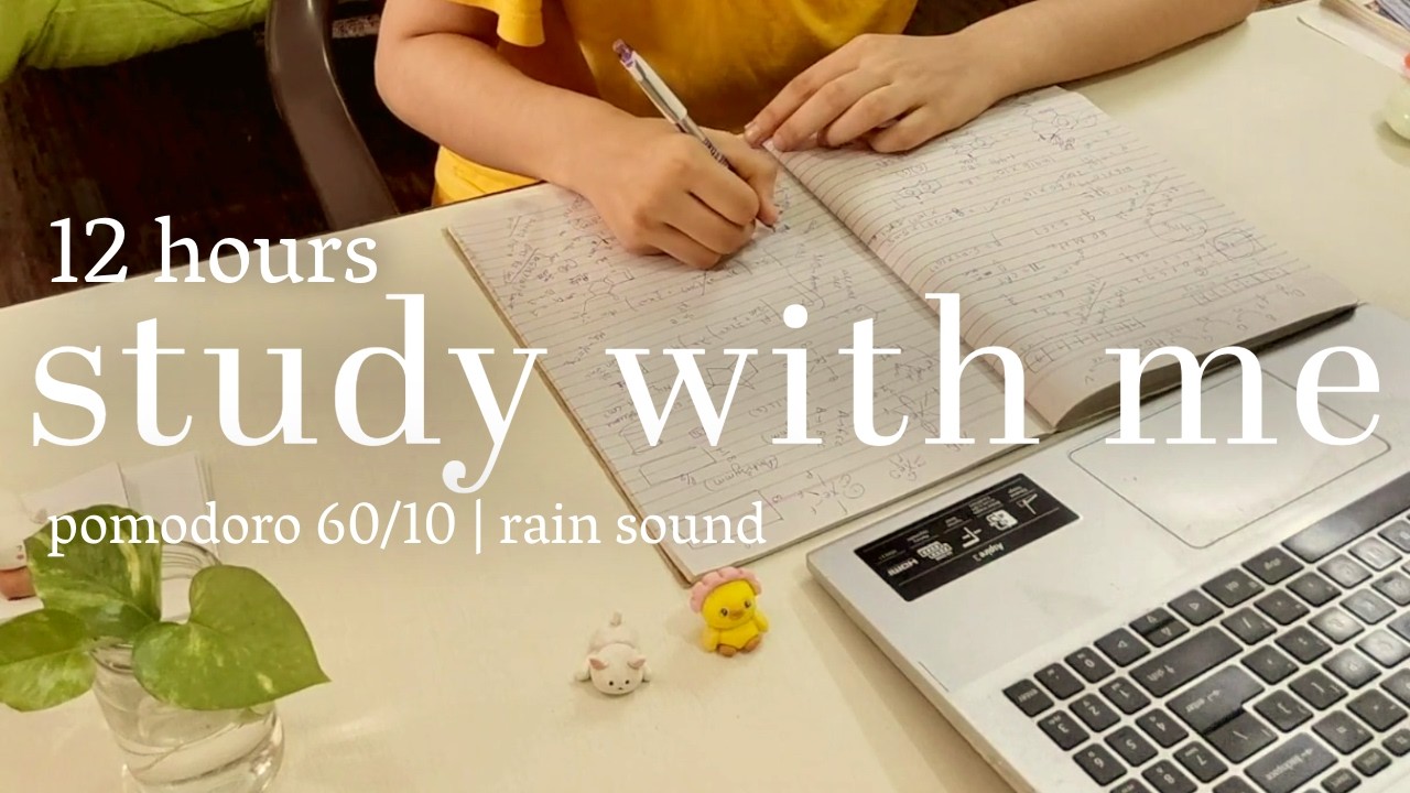 LIVE | 12 Hours study with me on a sunny day | Rain sound, pomodoro 60/10