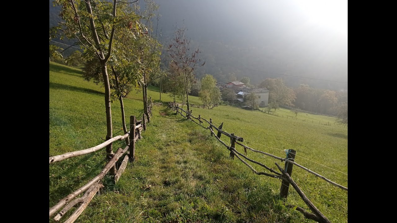 L'anello delle borgate e delle foreste attorno a Bobbio Pellice  24_10_2021