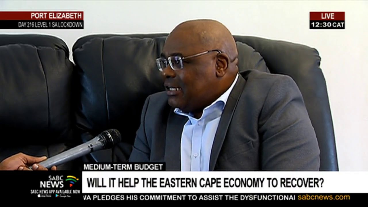 Mid-Term Budget | Will the budget help the Eastern Cape with economic recovery?: Prof Ronnie Ncwadi