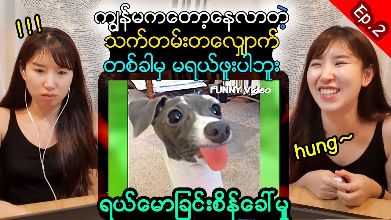 ကၽြန္မကေတာ့ေနလာတဲ့သက္တမ္းတေလွ်ာက္တစ္ခါမွမရယ္ဖူးပါဘူး l ရယ္ေမာျခင္းစိန္ေခၚမႈအပိုင္း(၂)