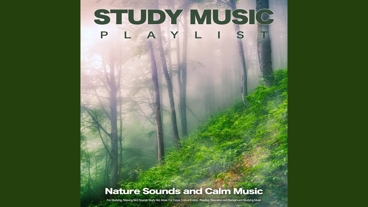Relaxing Bird Sounds Study Aid