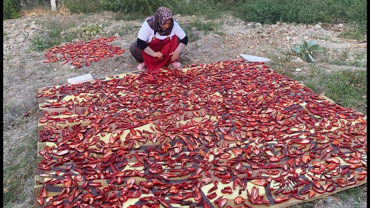 İpek Gibi Hatay Salçasının SIRRI NE⁉️TÜM DETAYLARIYLA BİBER SALÇASI YAPIMI