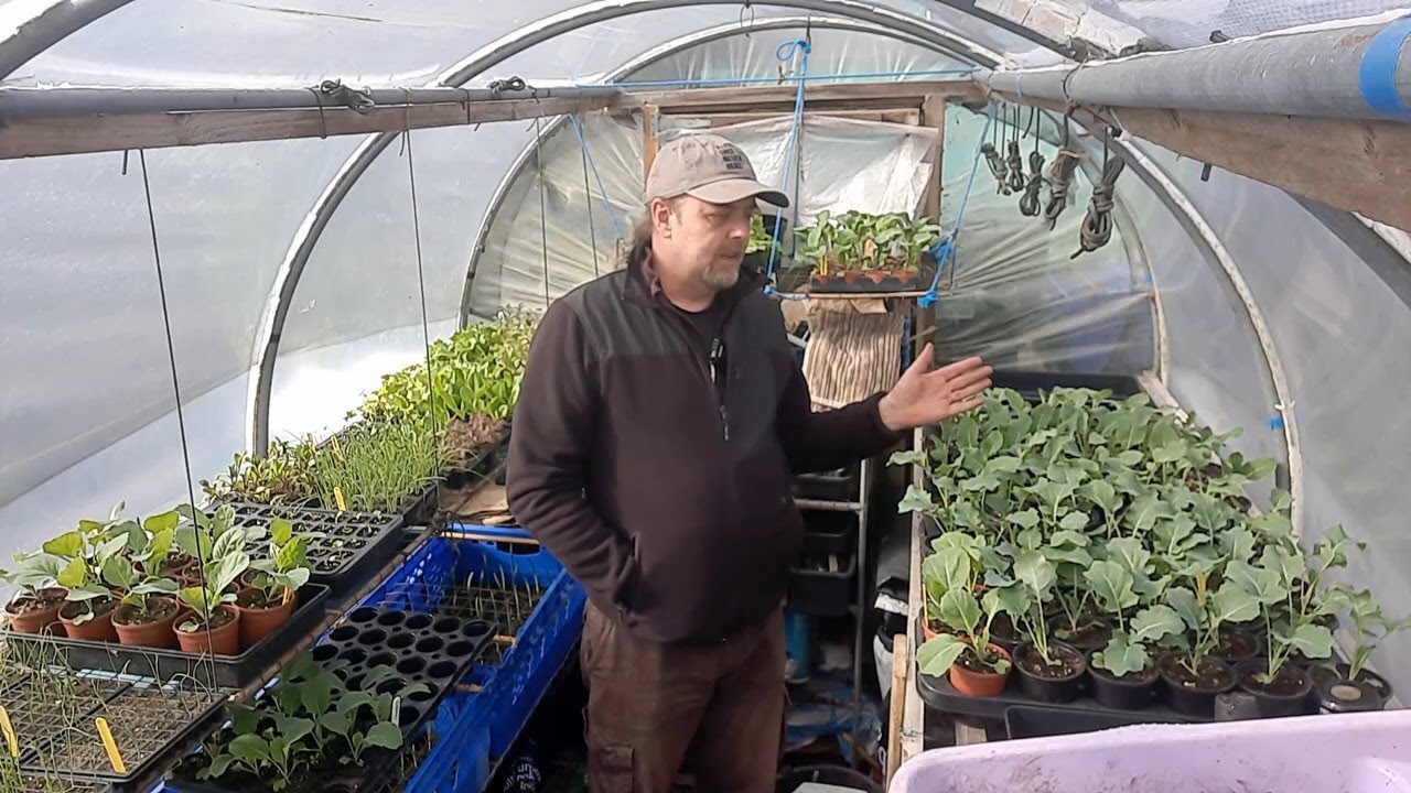Allotment Update 8 /4 /24 - Sowing, Potting and poor weather set backs
