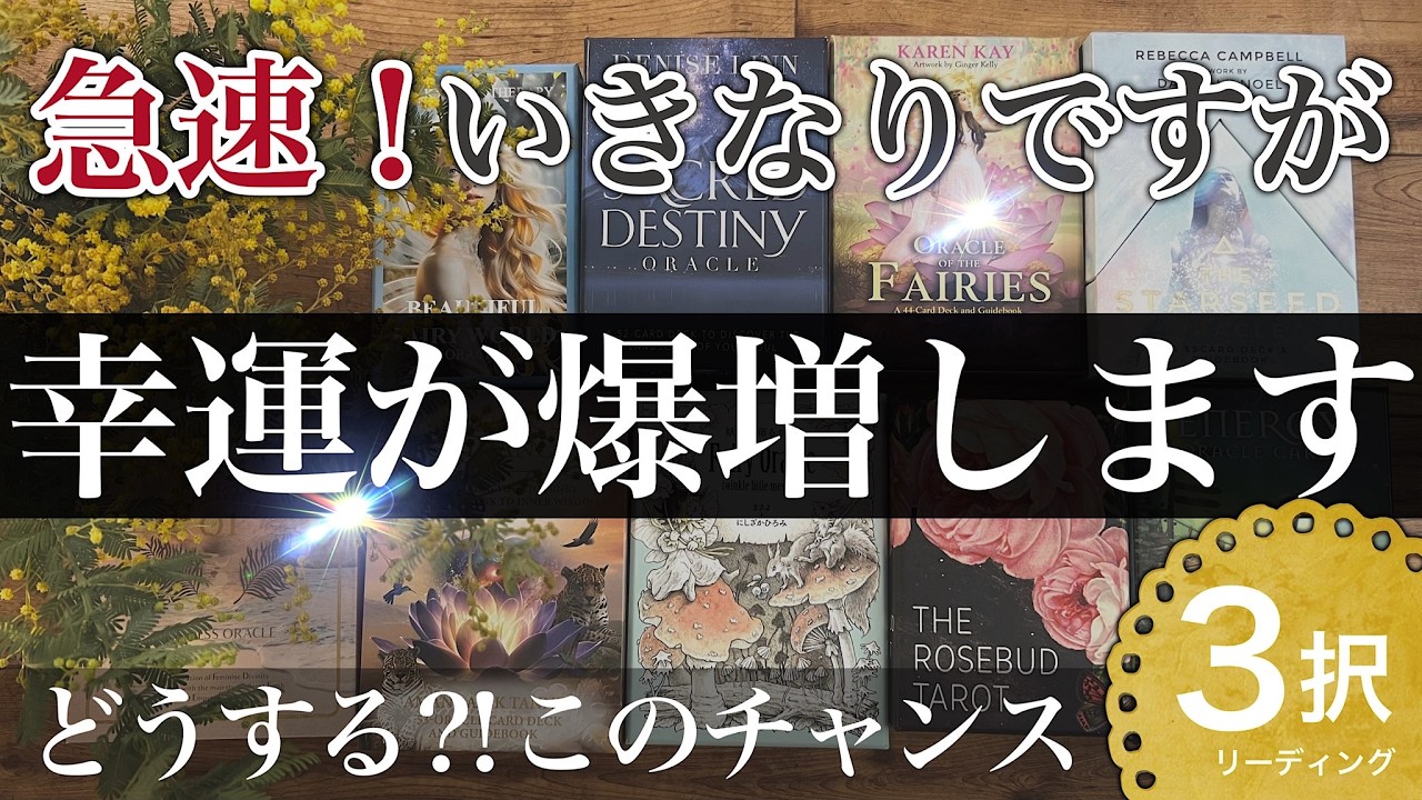 【ラッキーの方からくる⁈】あなたに急接近するすごいこと！好転への大事な鍵です【タロットストーリー】No.649