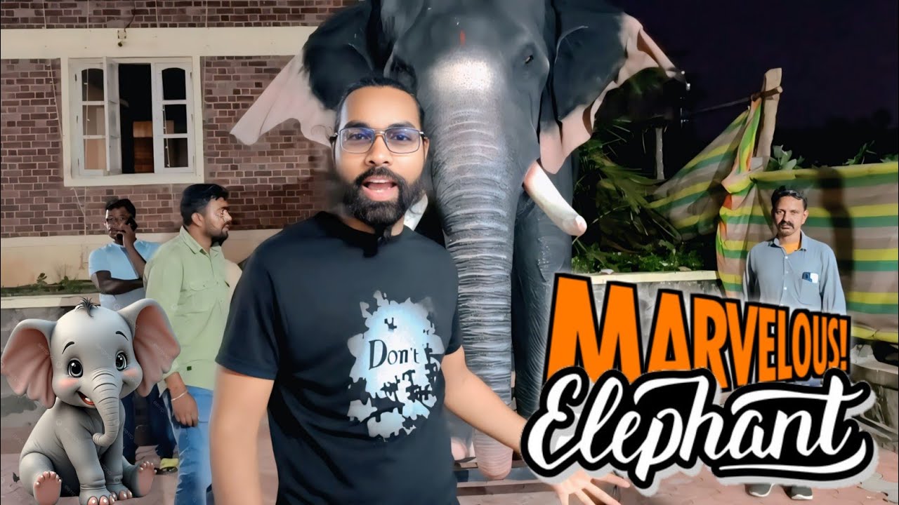 ऐसा हाथी जो कभी चलता नही सिर्फ कान हिलाता है | Kanyakumari | Saheb Goutam 