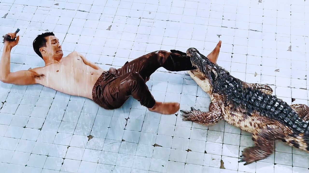 A Couple Got Trapped in a 25-Foot-Deep Abandoned Pool and There Was a Crocodile Inside