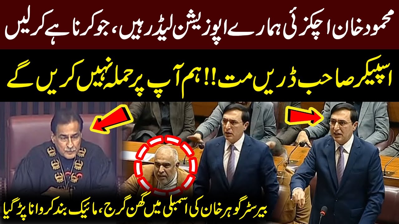 Chairman PTI Barrister Gohar Khan's Fiery Speech in Assembly | Mehmood Khan Achakzai | Public News