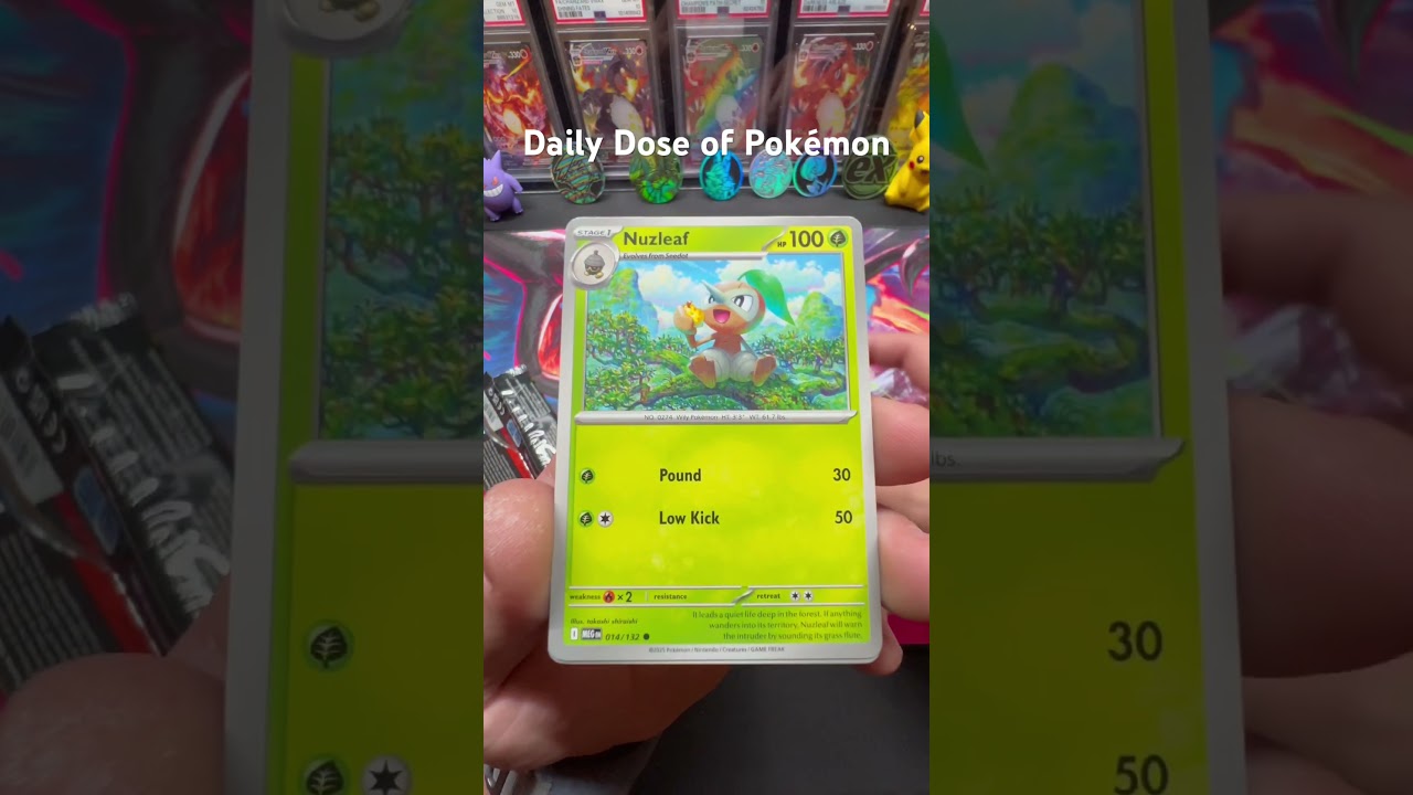 💥Daily Dose of Pokémon - MEGA EVOLUTION PACK OPENING Hunting M-CHARIZARD, M-MEWTWO   