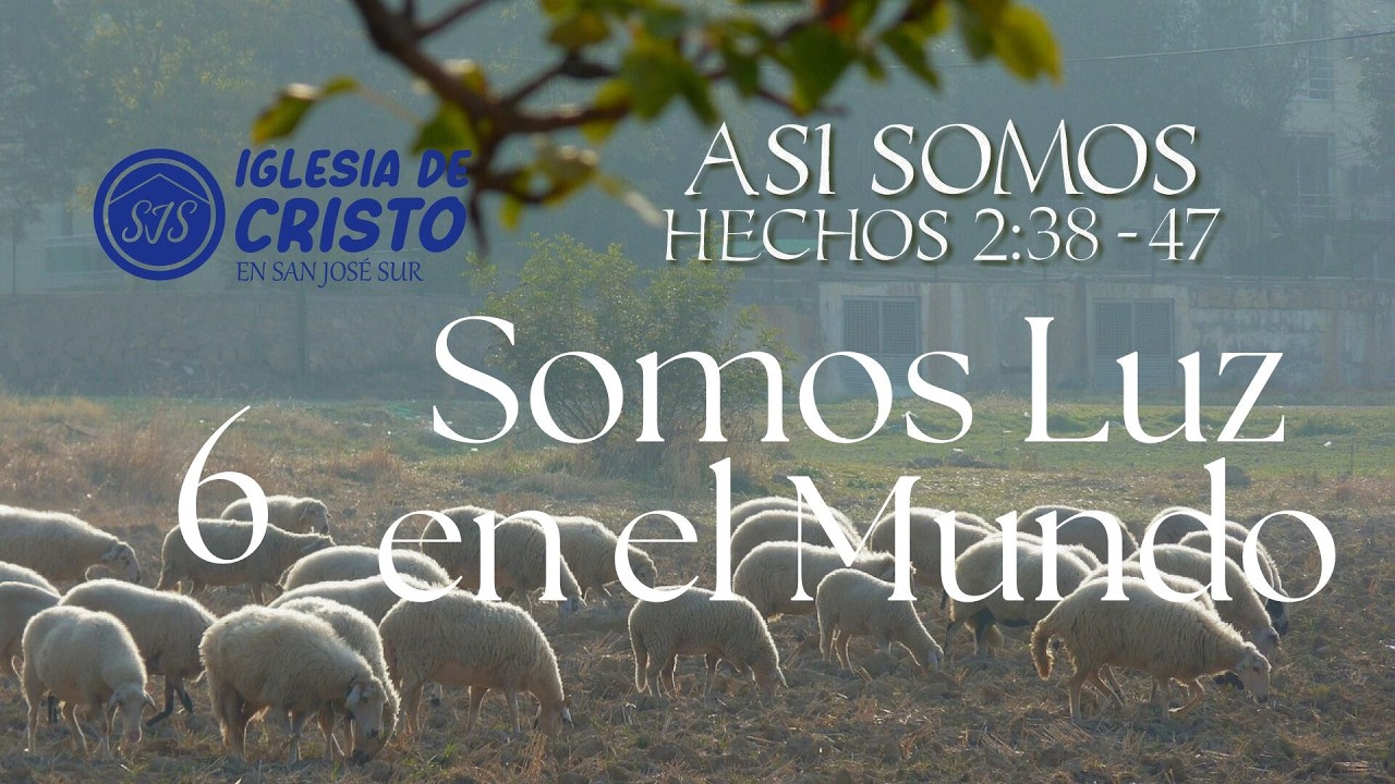 Somos Luz en el Mundo - Hechos 2:47