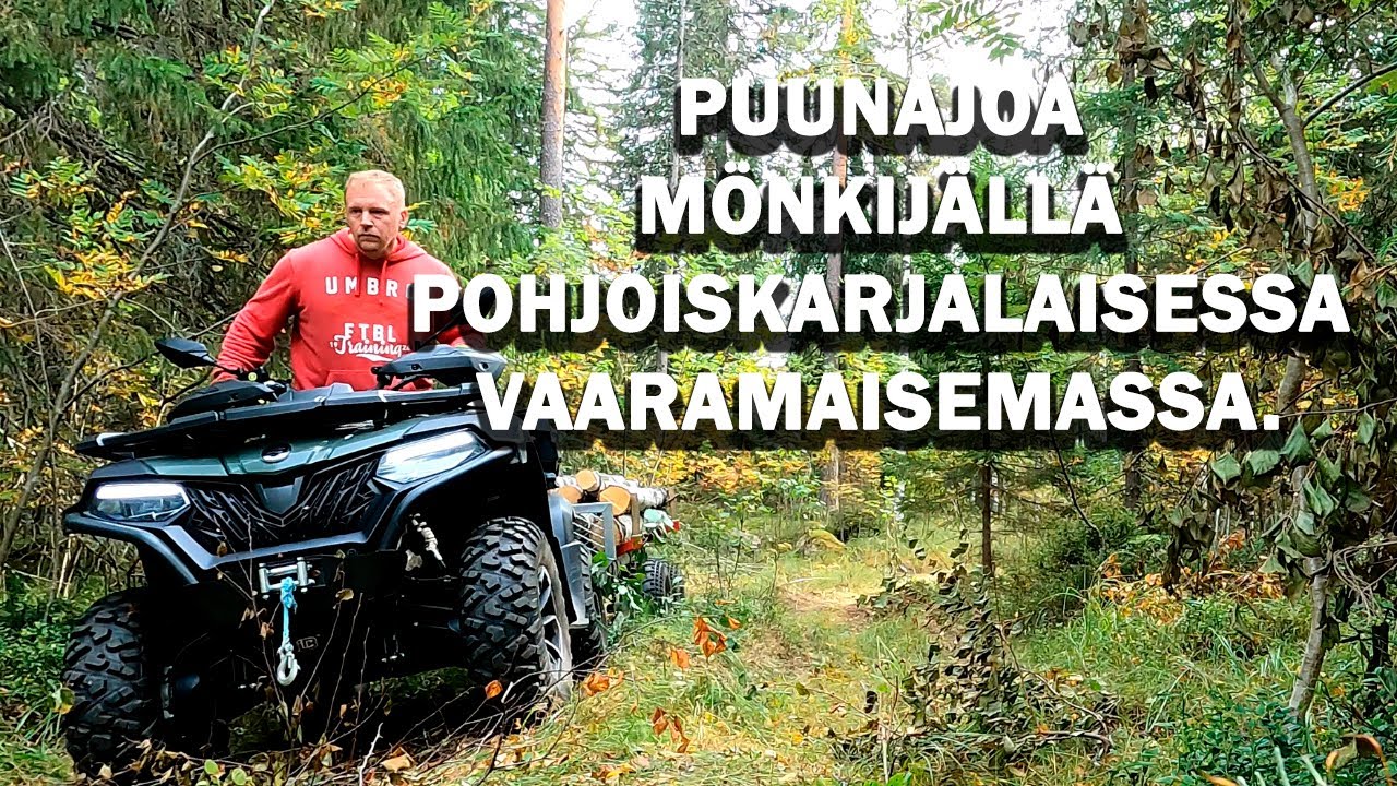 PUUNAJOA MÖNKIJÄLLÄ JOENSUUSSA.