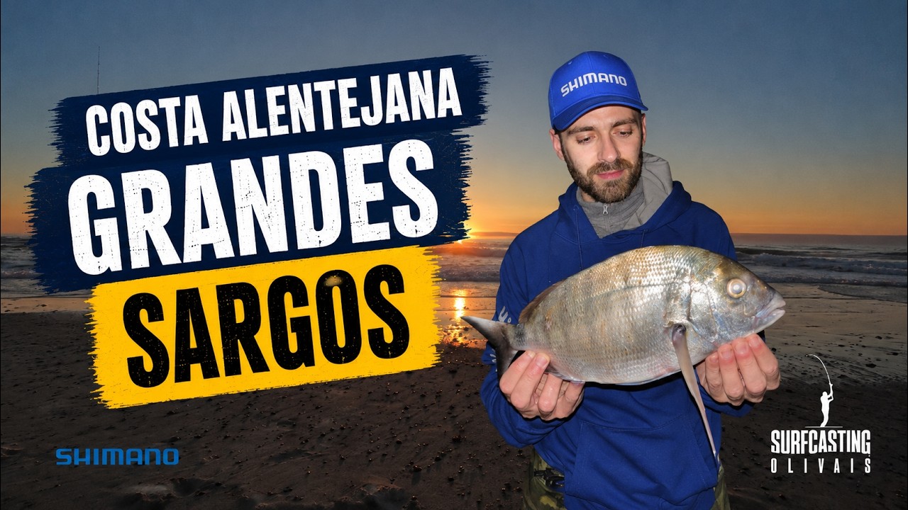 GRANDES SARGOS | Costa Alentejana
