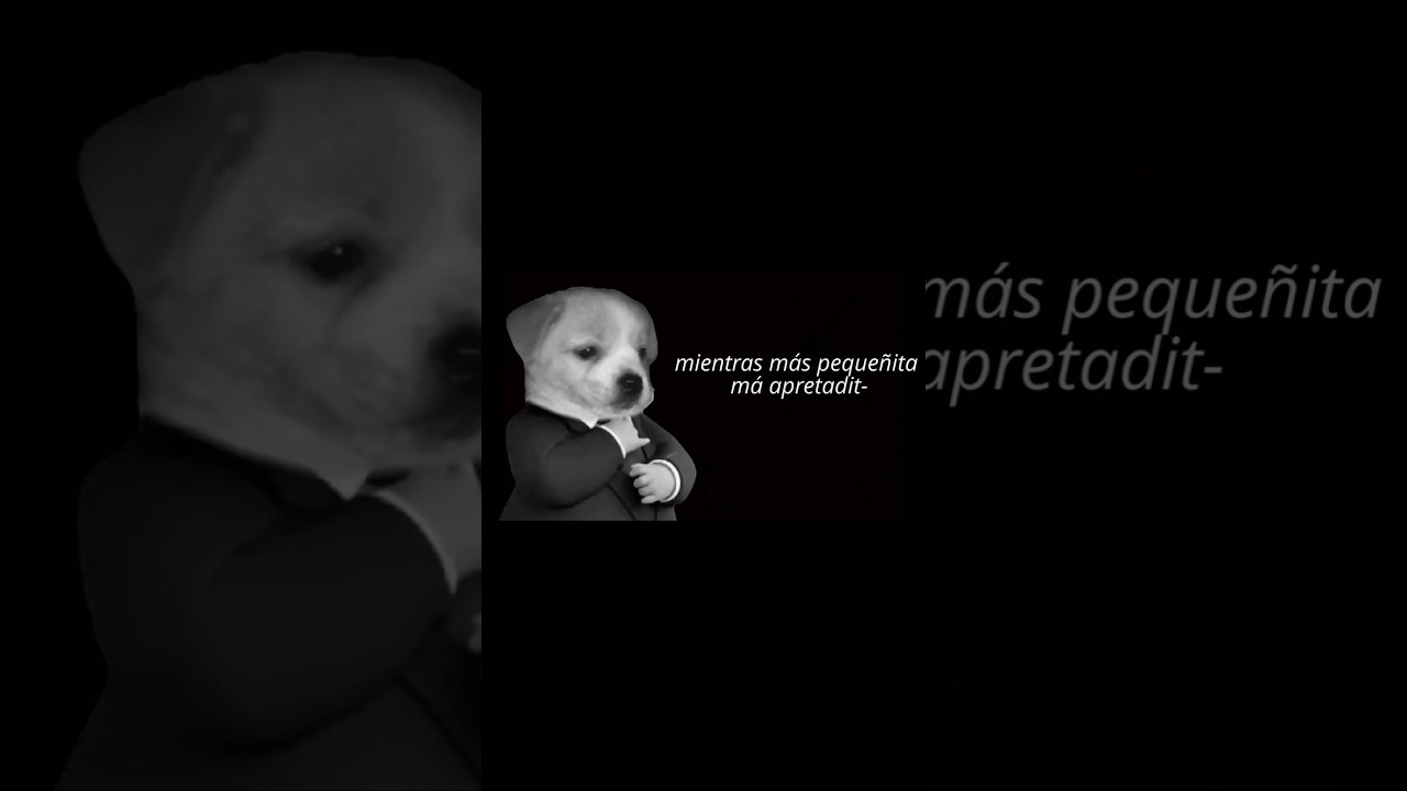 PIROPOS FUNABLES🤣  