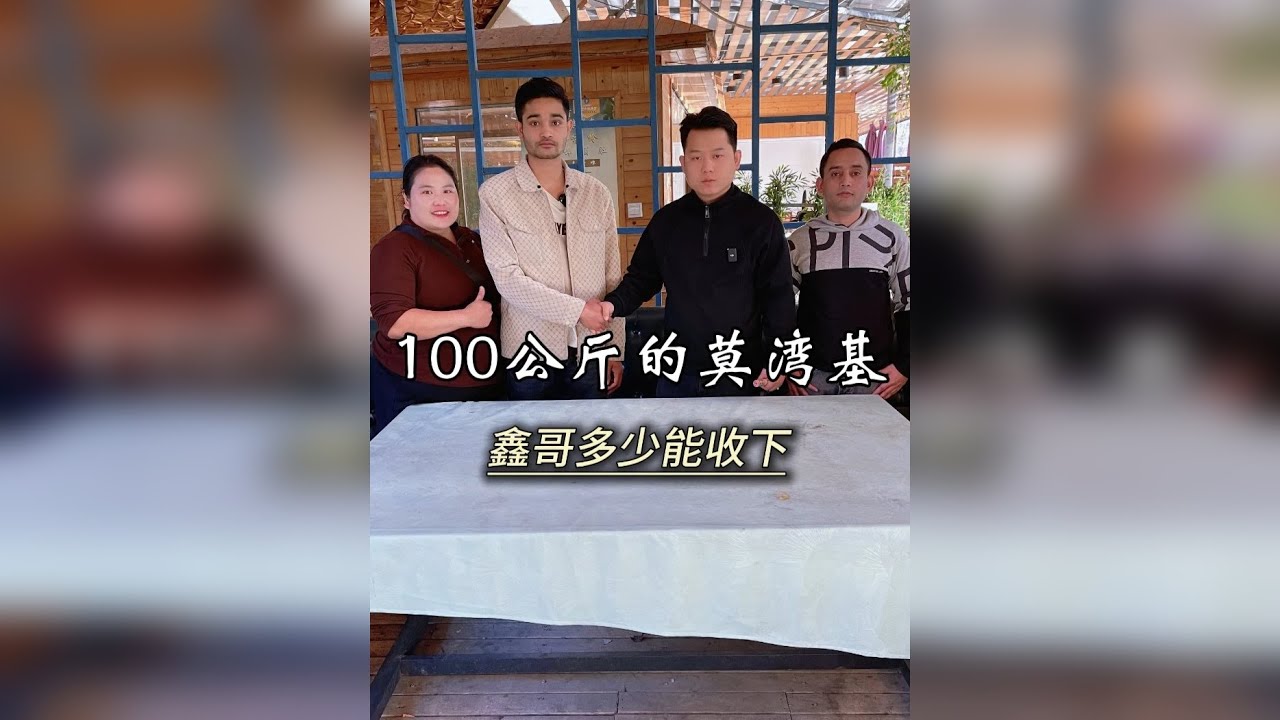 100公斤的莫湾基色料，鑫哥多少能拿下？
