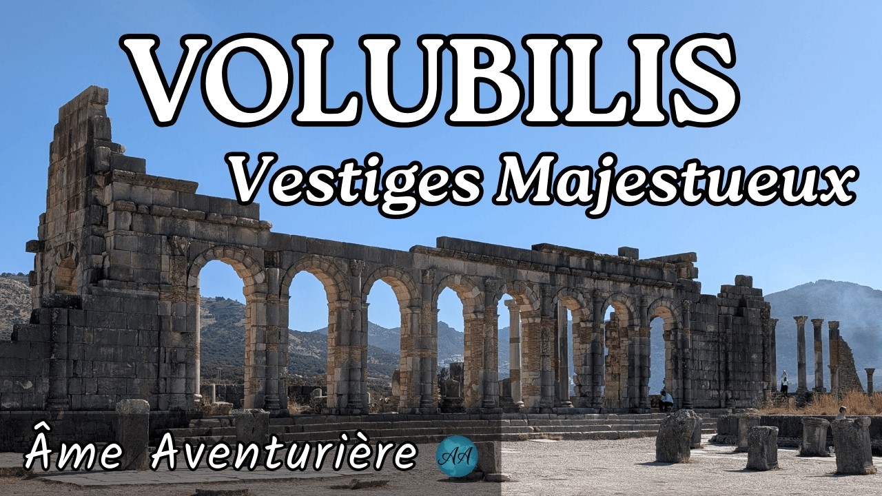Maroc | Volubilis & Meknès - Une excursion qui m'a profondément marquée