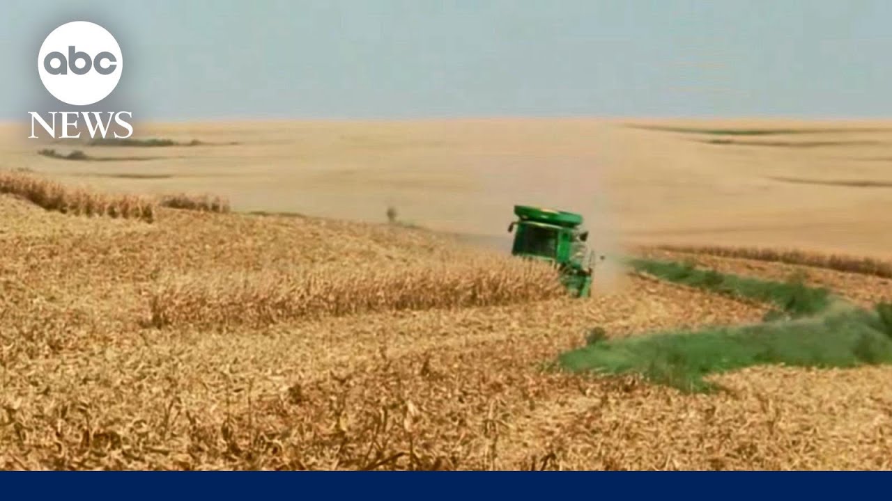 Nebraska soybean farmers on America&rsquo;s trade war: &lsquo;We are losing money&rsquo;