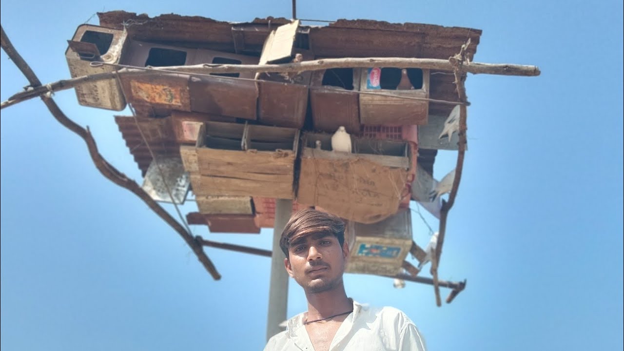 આ તો અચાનક આવી ગયું હલન 🚜🌾😮#birds #viruls ❤️