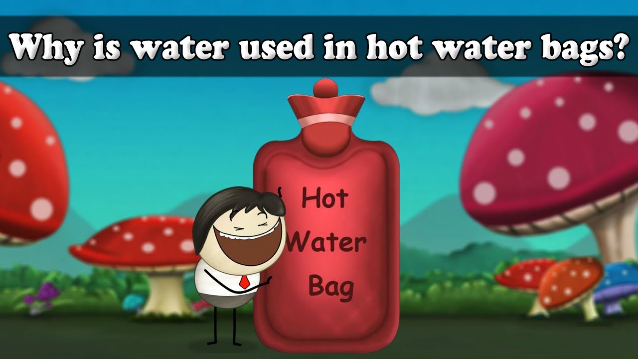 Specific Heat of Water - Why is water used in hot water bags? | #aumsum #kids #science