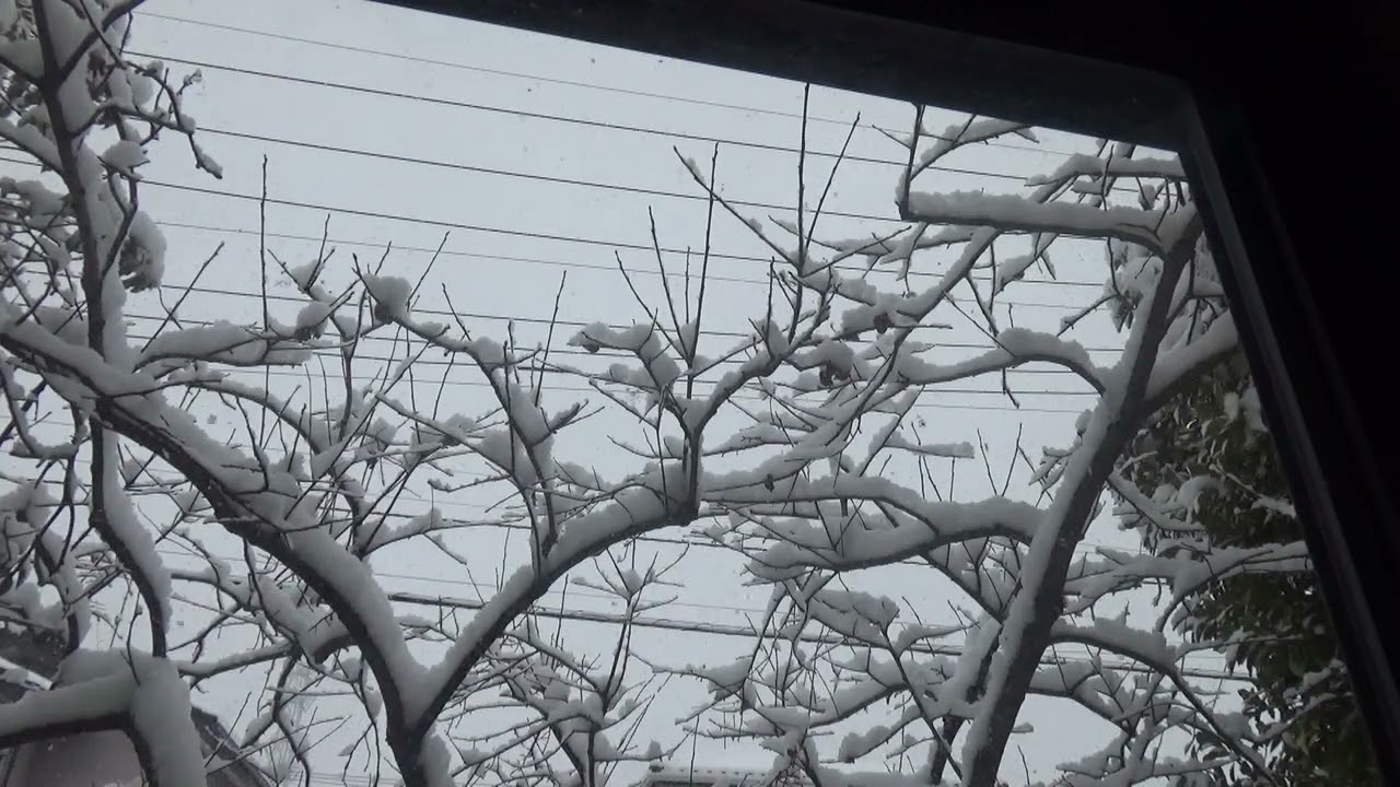 【番外編】【コーヒーブレイク】一休みひと休み～ひたすら雪動画 6min