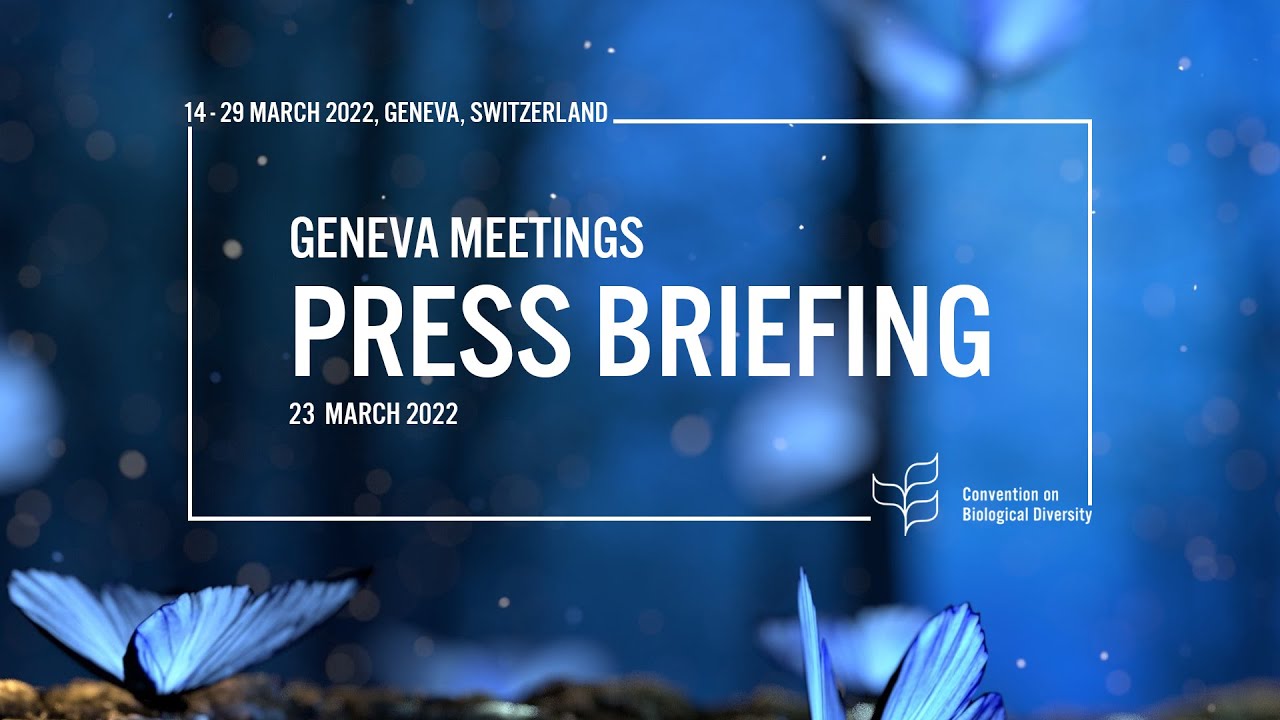 23 March 2022 - Press briefing - Geneva Meetings 2022