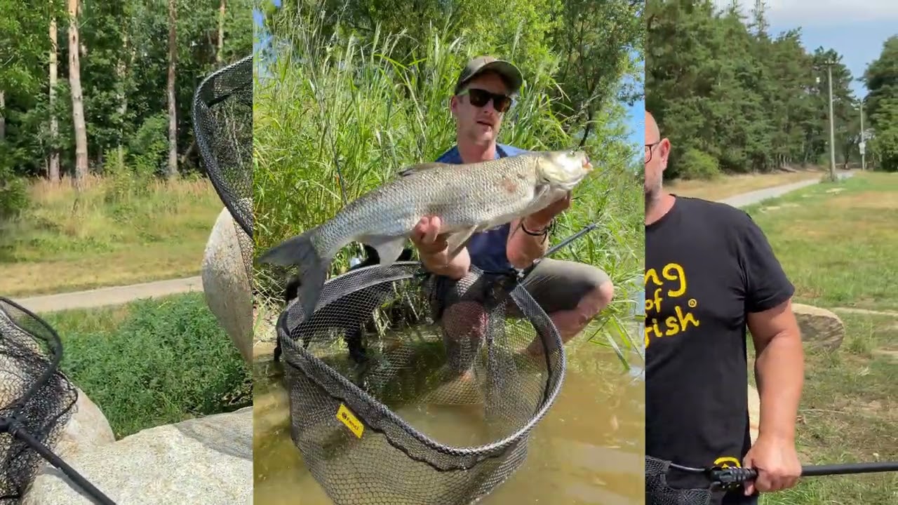Fencl ® MAX/ carp and predators/ kapři a dravci / fishing landing net