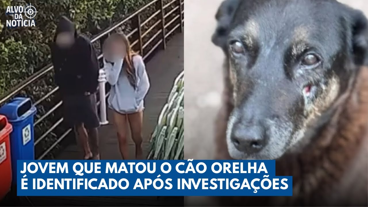 Polícia Desvenda Quem Matou o Cão Orelha e Caso Choca o Brasil | Alvo da Notícia