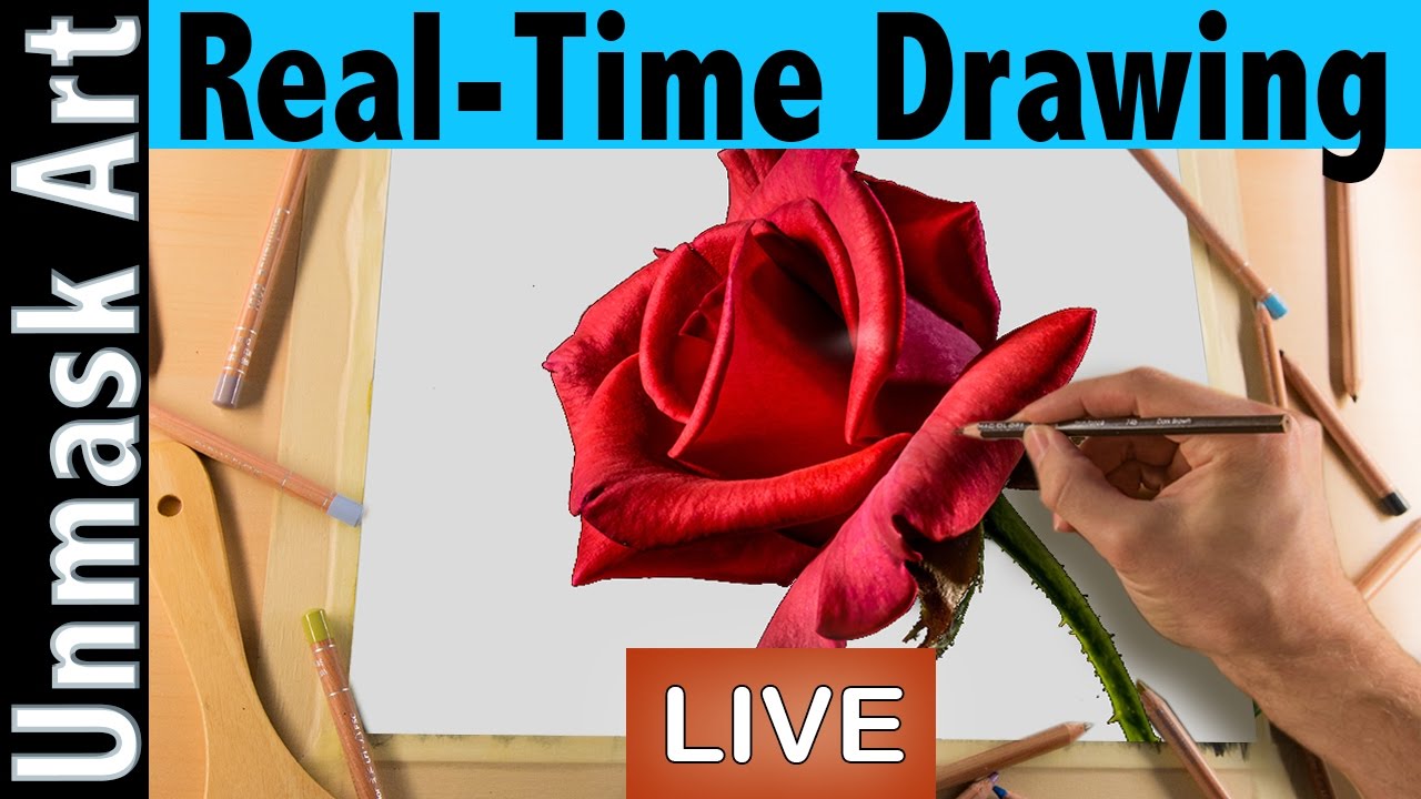 How to Draw a Rose | Real Time Drawing