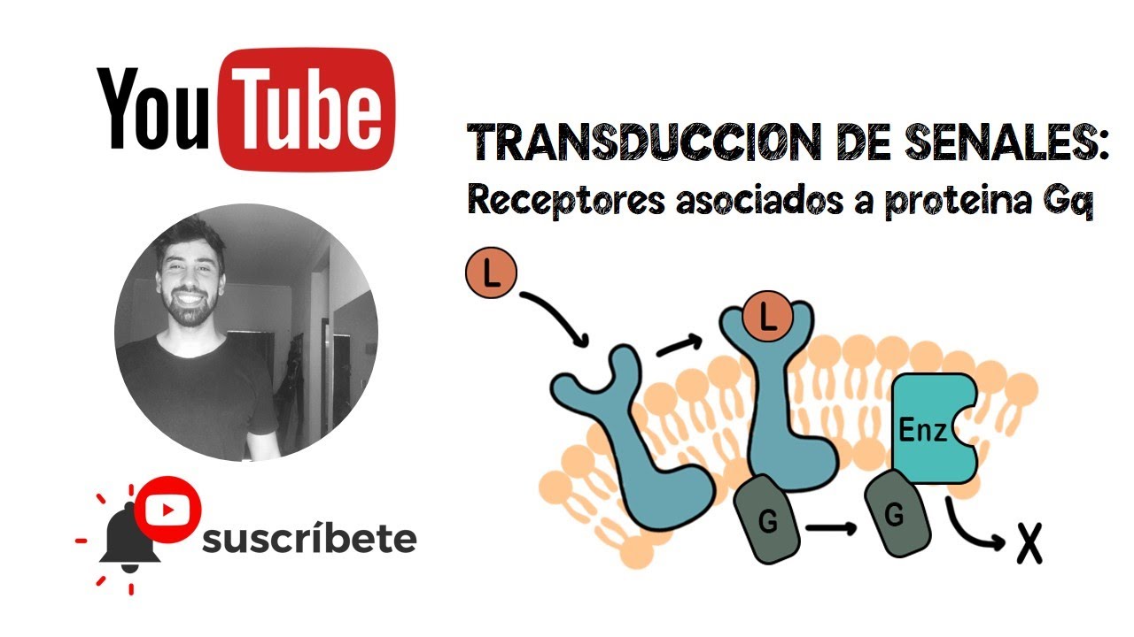 Transducción de Señales: Receptores asociados a proteínas Gq