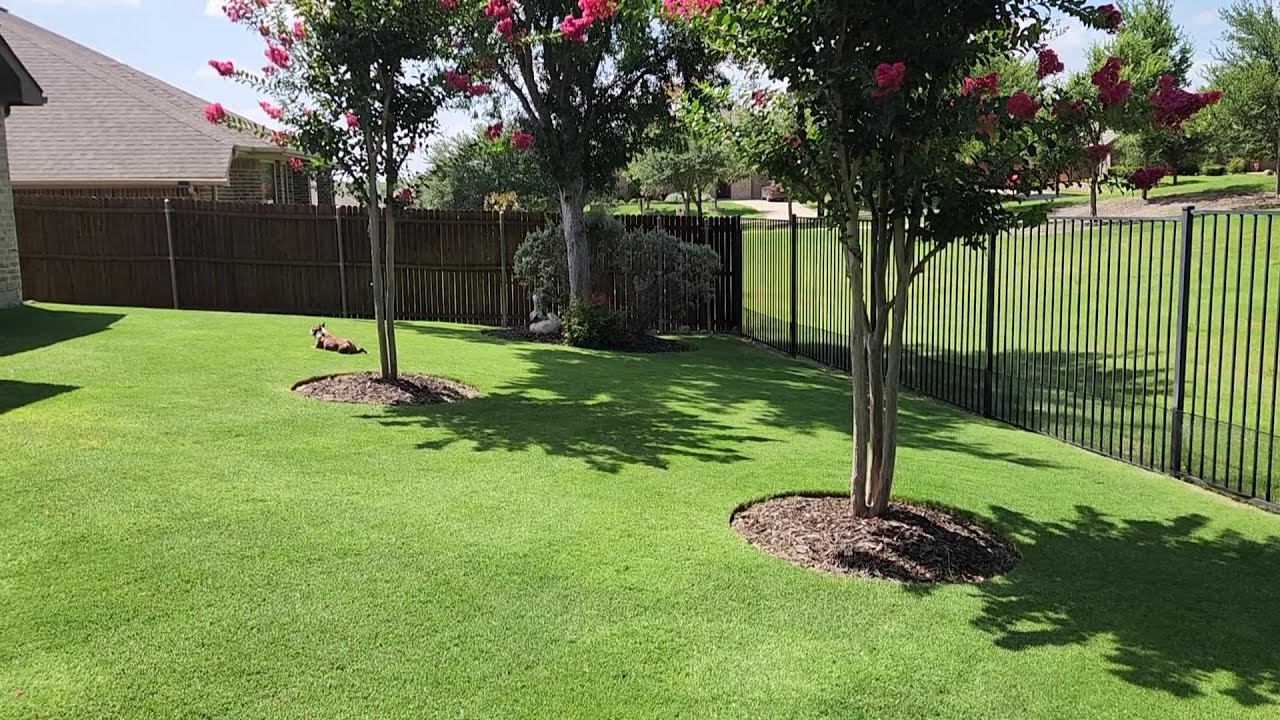 Summer Bermuda Mowing JuneJuly2025