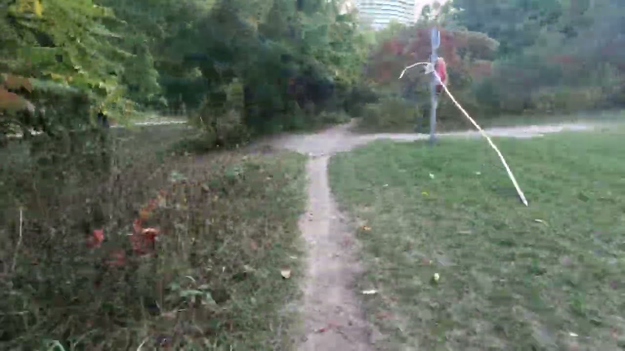 Trail Runner