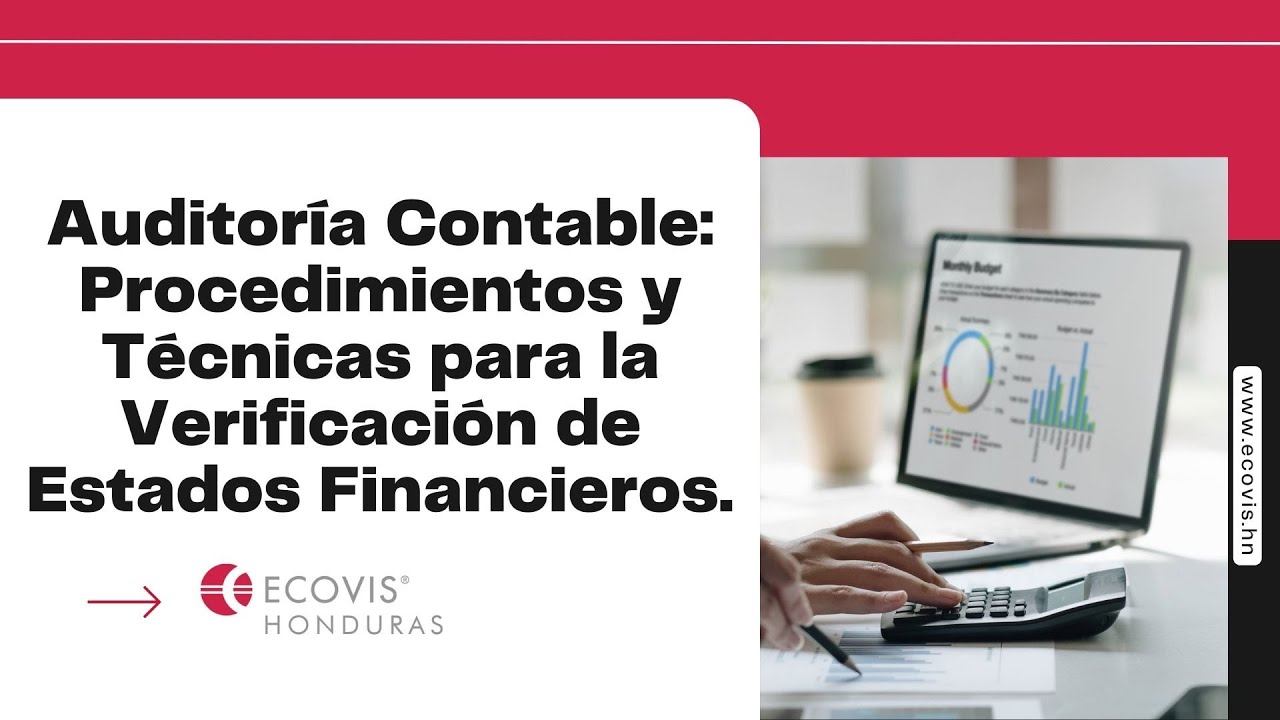 Auditor&iacute;a Contable: Procedimientos y T&eacute;cnicas para la Verificaci&oacute;n de Estados Financieros Auditor&iacute;a.