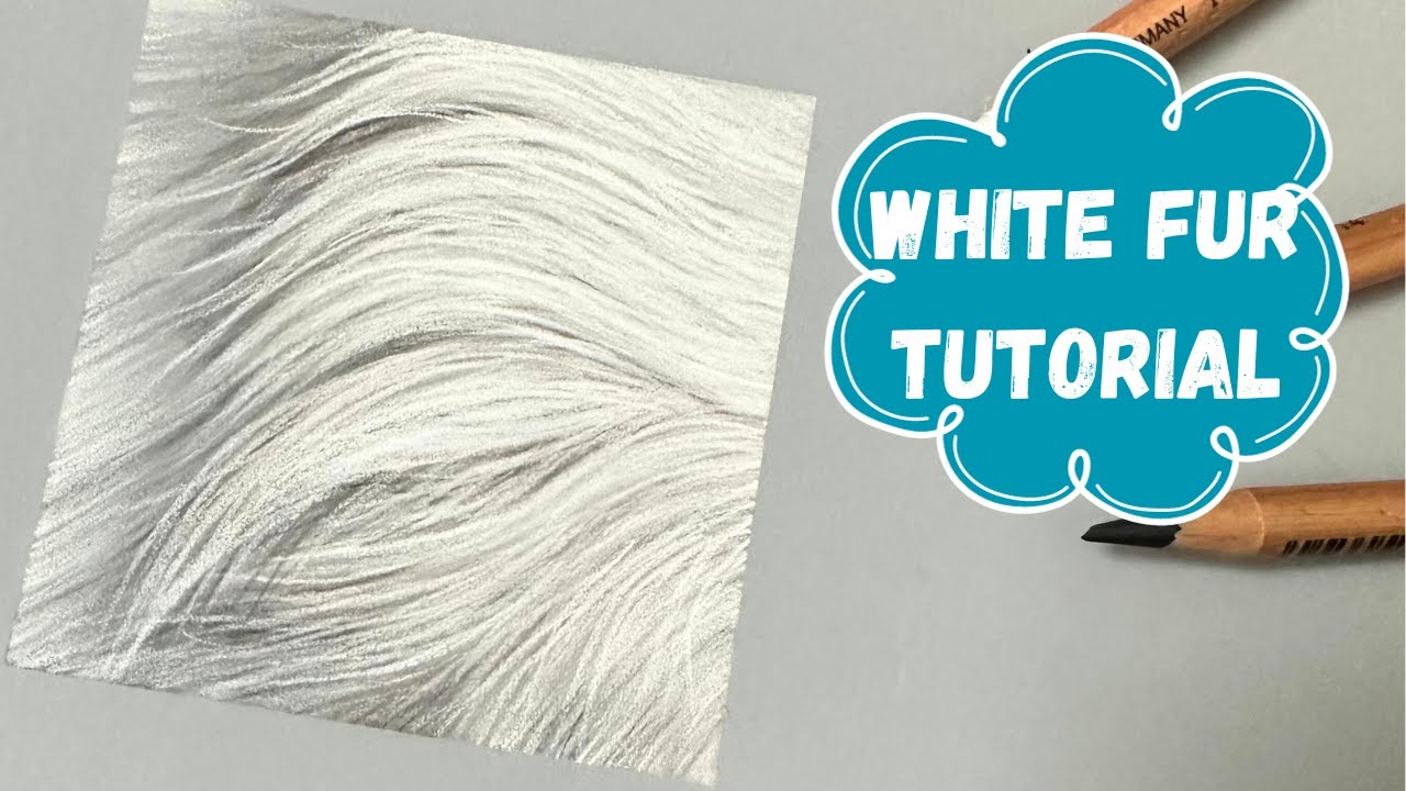 How to Draw White Fur - Pastel Pencil Drawing Tutorial
